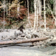 Image for article titled The five strangest theories about Sasquatch